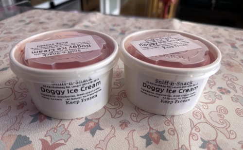 doggy ice cream